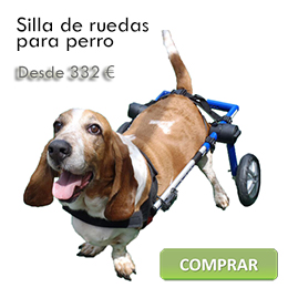 Wheelchairs for dogs