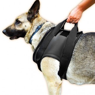 buy JULIUS Rehab Harness (shoulders) - Productos adicionales