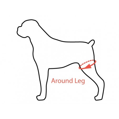 Arnés patas traseras perro  Arnés para perros con displasia o Artrosis