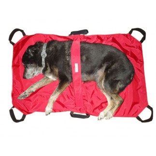 buy Dog Transport Stretcher - Productos adicionales