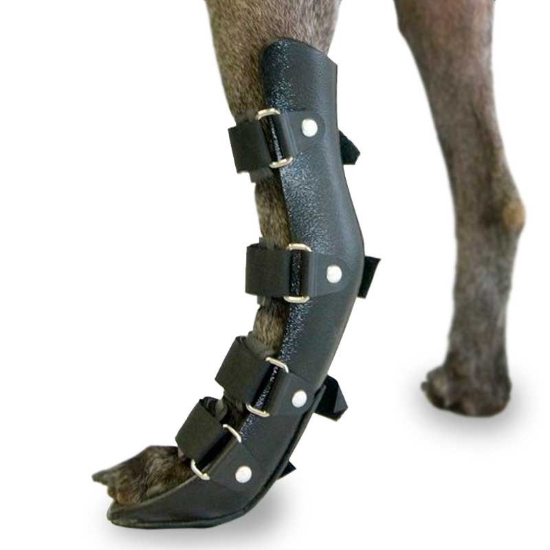 Orthopädische Schiene Hunde