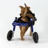 구입하다 Adjustable Dog Wheelchair - 개 휠체어