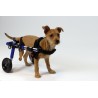 acquistare Carrello per cani disabili autoregolabile - Carrelli per cani