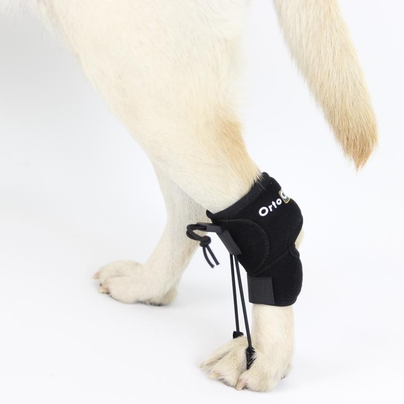 Dog top knuckling boots