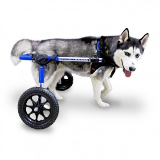 buy Adjustable Dog Wheelchair - Buy