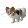 harness for blind dogs