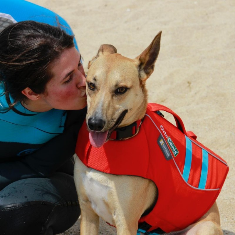 Giubbotto salvagente per cani