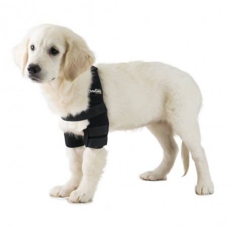 Dog padded elbow clearance protectors