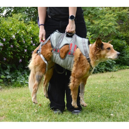 Ruffwear Double Back Harness Hundegeschirr