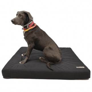 Mattress for old dogs