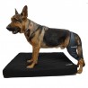 buy Orthopedic mattress for dogs - Technical assistance