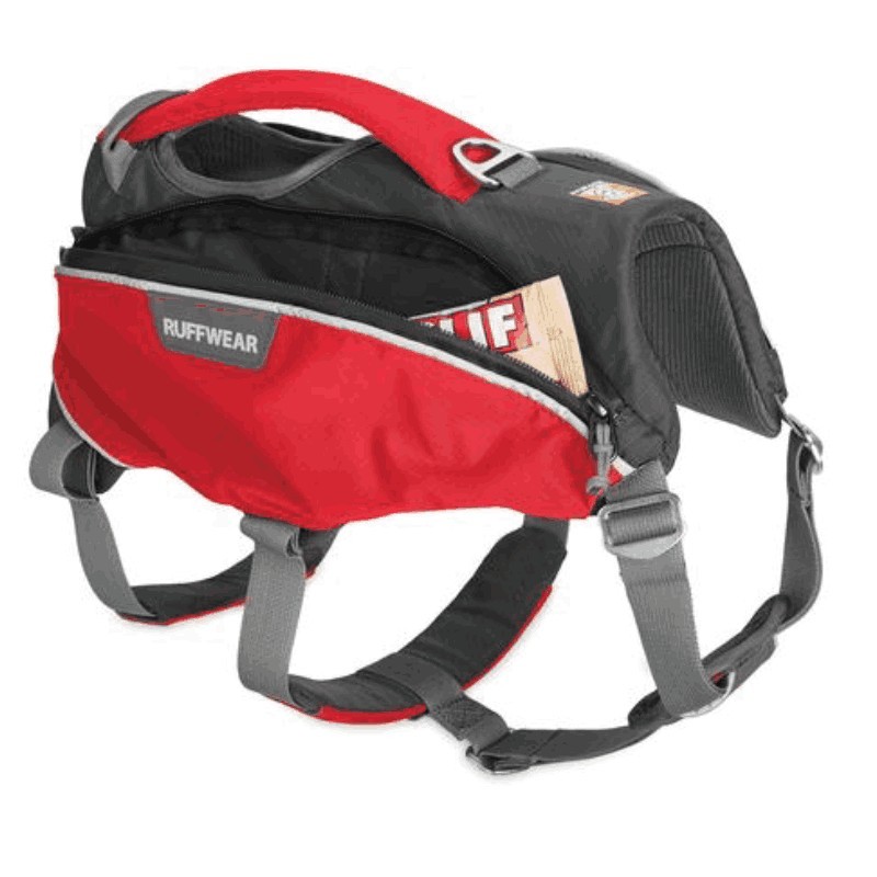 Ruffwear webmaster 2025 pro harness