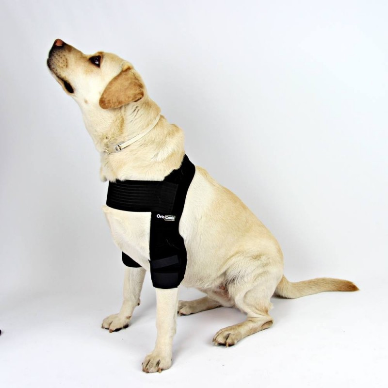Neoally Coudière de protection pour chien pour coude et épaule canine,  hygroma, dysplasie, arthrose, callosités, escarres et luxation de l'épaule