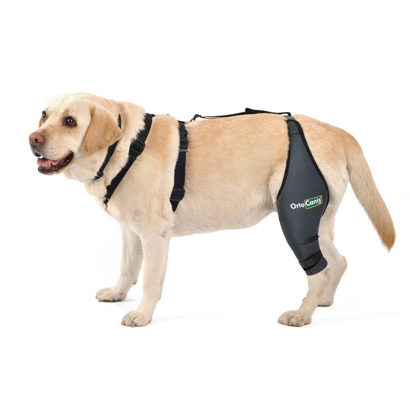 Fastening Belt for the Dog Knee Brace