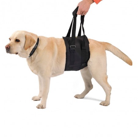 Ortocanis Support Sling for Dogs