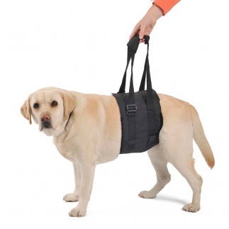 Ortocanis Support Sling For Dogs