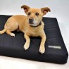 buy Orthopedic Mattress Cover for Dogs - Technical assistance
