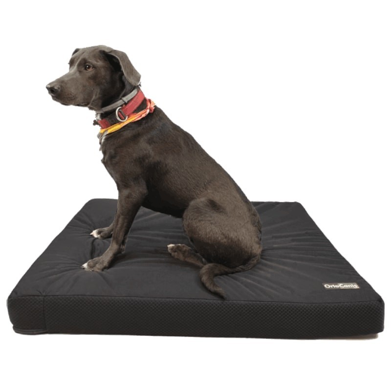 kaufen Orthopädische Matratzenhülle für Hunde - Technische Hilfen