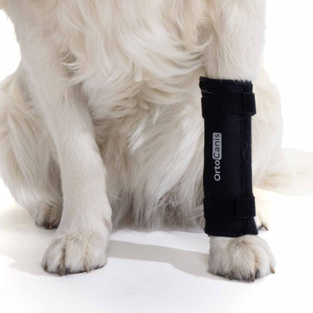 Custom Dog Wrist Brace  Carpal Dog Front Leg Brace - Animal Ortho