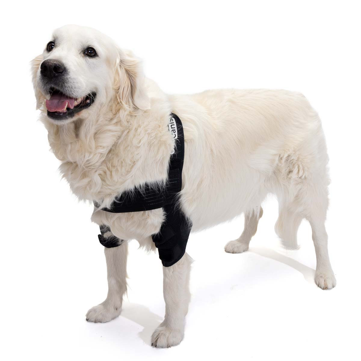 Neoally Coudière de protection pour chien pour coude et épaule canine,  hygroma, dysplasie, arthrose, callosités, escarres et luxation de l'épaule
