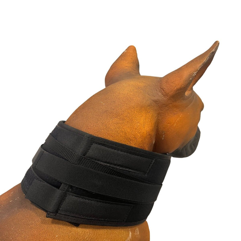 Dog neck outlet protector