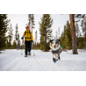 buy Polar Trex dog boot - Technical assistance