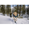 buy Polar Trex dog boot - Technical assistance