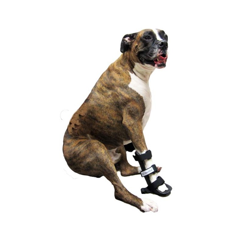 Ortocanis Front Leg Splint for Dogs