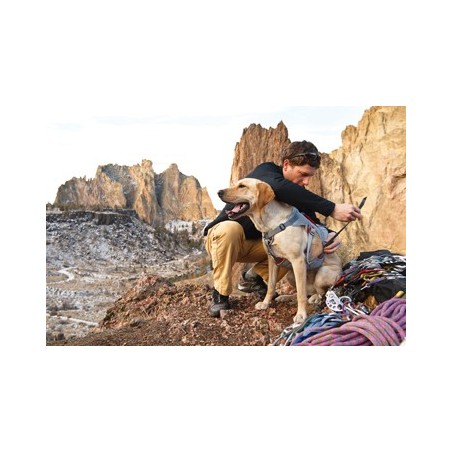 Ruffwear Double Back Harness Hundegeschirr