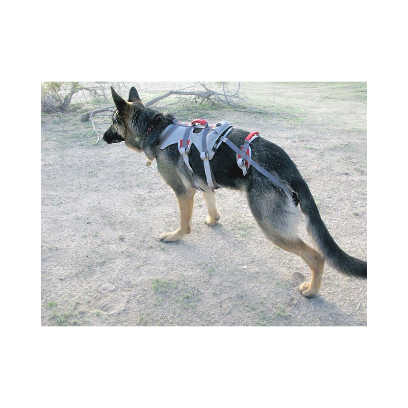 Ruffwear Double Back Harness Hundegeschirr