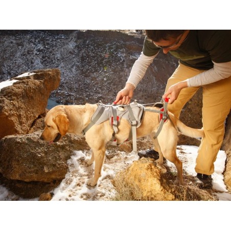 Doubleback™ Full Body Dog Safety Harness