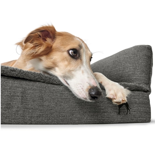 Porqué utilizar un colchón ortopédico en perros mayores - Perros