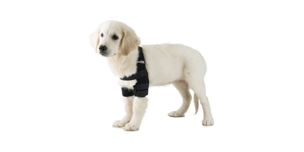 Assistance for dogs with problems in the front legs, elbow or carpus