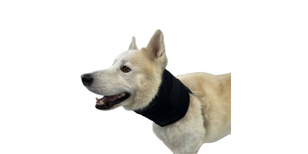 Aids for dogs with problems in the vertebrae of the neck, and other problems where it is necessary to immobilize the neck and thus prevent it from reaching other parts of the body.