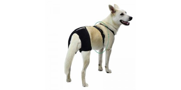 Assistance for dogs with vertebrae problems, disc hernias and other back issues.