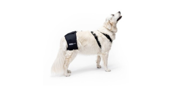 Orthopedic aids for hip dysplasia, arthritis and other problems affecting your dog's hip.