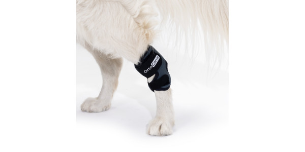 Aides orthopédiques pour chiens ayant des problèmes au tarse, des blessures aux ligaments, des fractures, de l'arthrose, des tarses faibles...